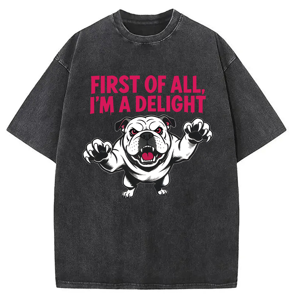 Modecanvas Fierce Bulldog Delight DTG Printing Washed T-Shirt