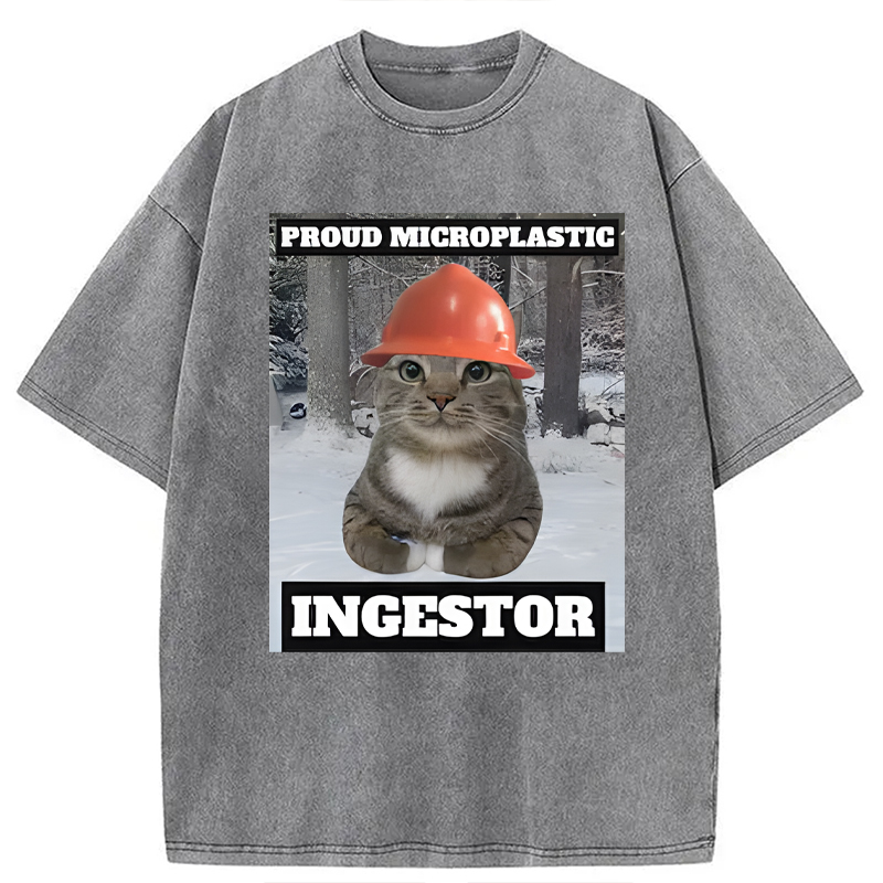 Modecanvas Proud Microplastic Ingestor Cat Meme DTG Printing Washed T-Shirt