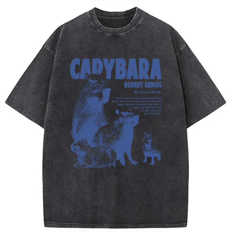 Modecanvas Capybara Vintage DTG Printing Washed T-Shirt