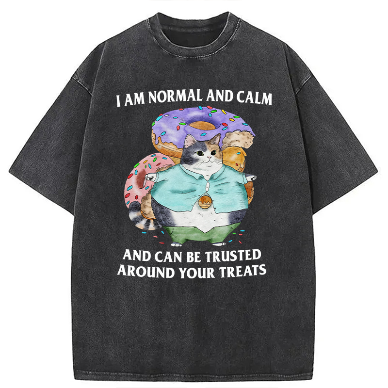Modecanvas I Can Be Trusted Around Your Treats DTG Printing Washed T-Shirt