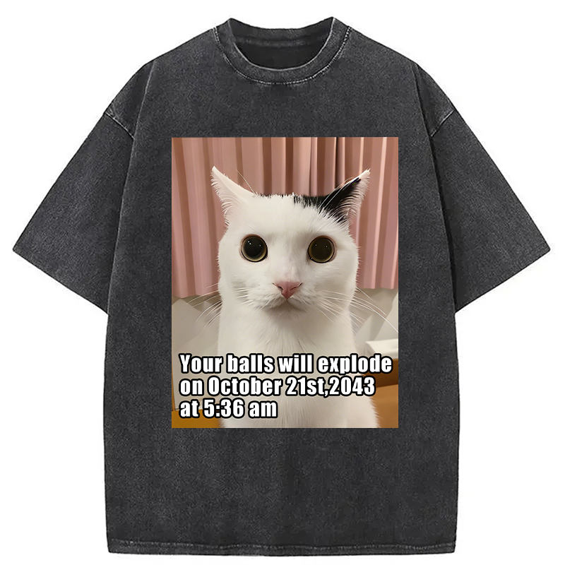 Modecanvas Your Balls Will Explode Funny Cat Meme DTG Printing Washed T-Shirt