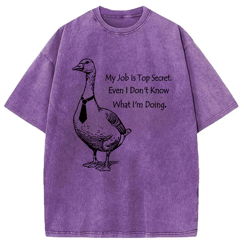 Modecanvas Serious Goose Funny Washed T-Shirt