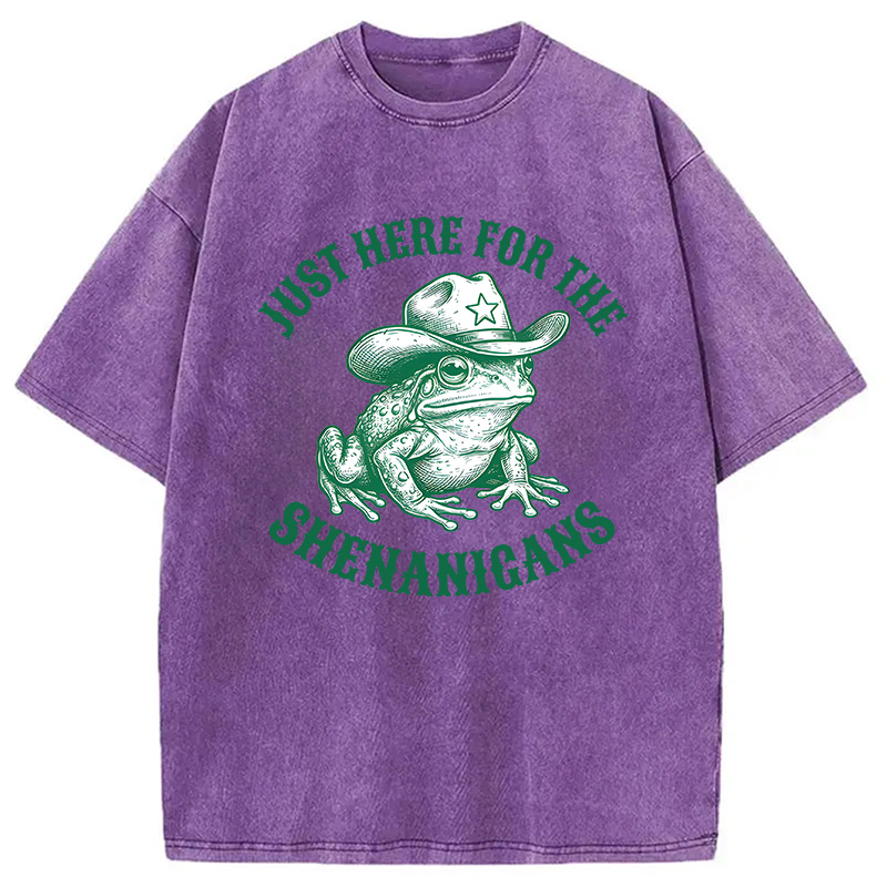 Modecanvas Just Here for the Shenanigans Frog DTG Printing Washed T-Shirt