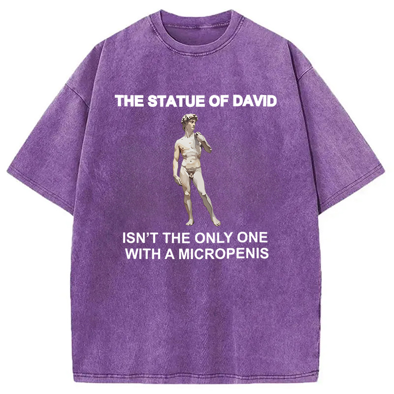 Modecanvas The Statue Of David Meme DTG Printing Washed T-Shirt