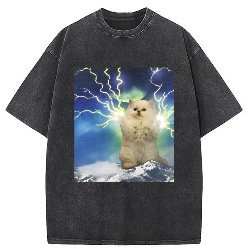 Modecanvas Lightning Cat DTG Printing Washed T-Shirt