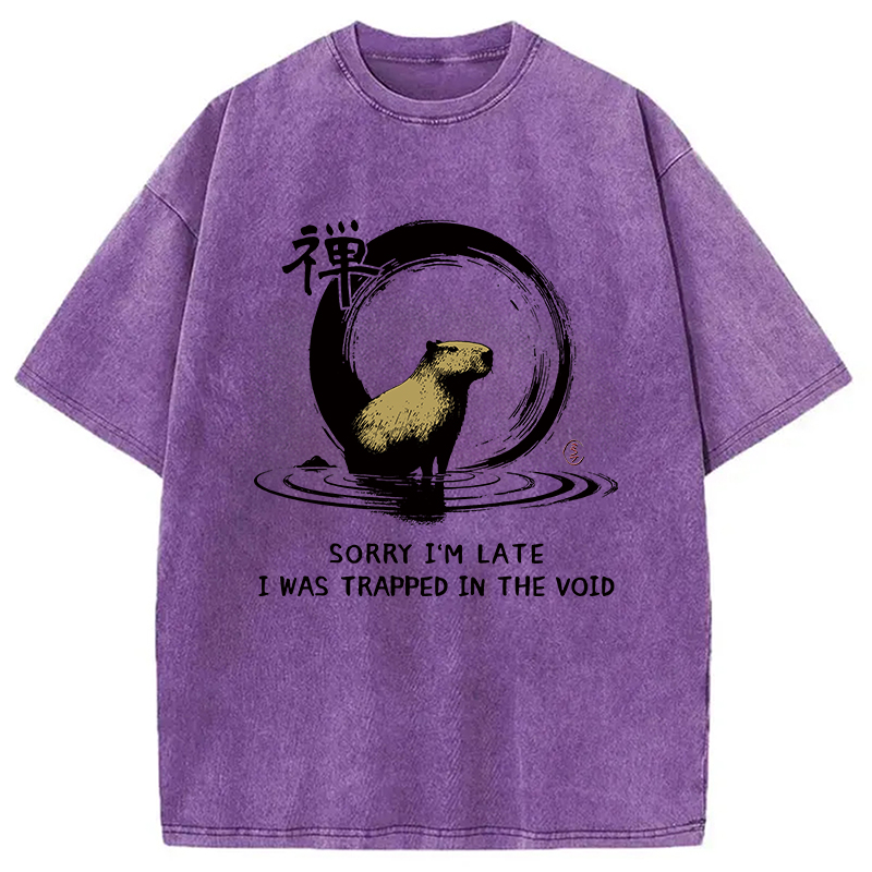 Modecanvas Zen Capybara Was Trapped In The Void Washed T-Shirt