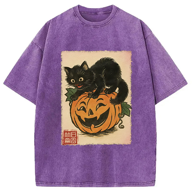 Modecanvas Black Cat And Pumpkin Washed T-Shirt