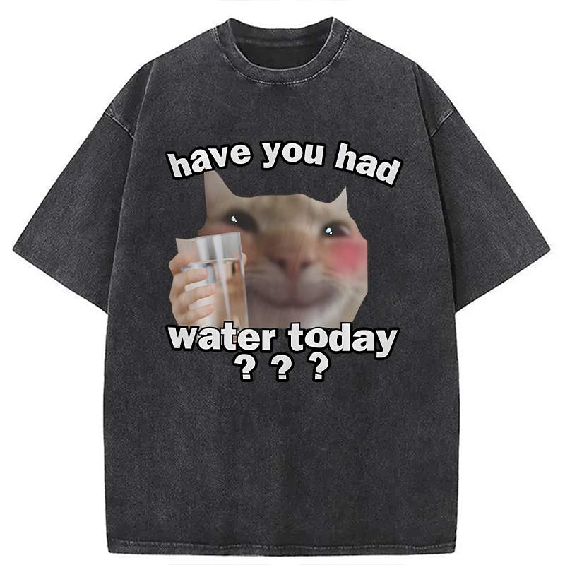 Modecanvas Remind To Drink Water DTG Printing Washed T-Shirt