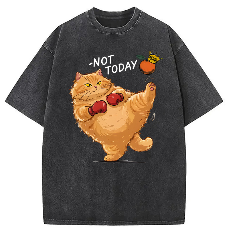 Modecanvas Boxing Cat DTG Printing Washed T-Shirt