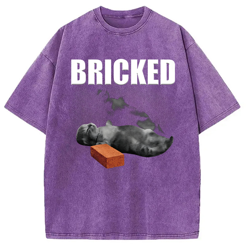 Modecanvas Bricked Funny Cat Knocked Out DTG Printing Washed T-Shirt