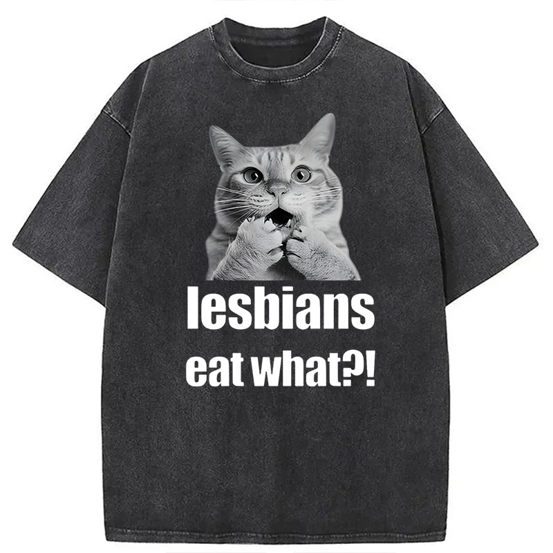 Modecanvas Lesbians Eat What? Funny Gay Joke DTG Printing Washed T-Shirt