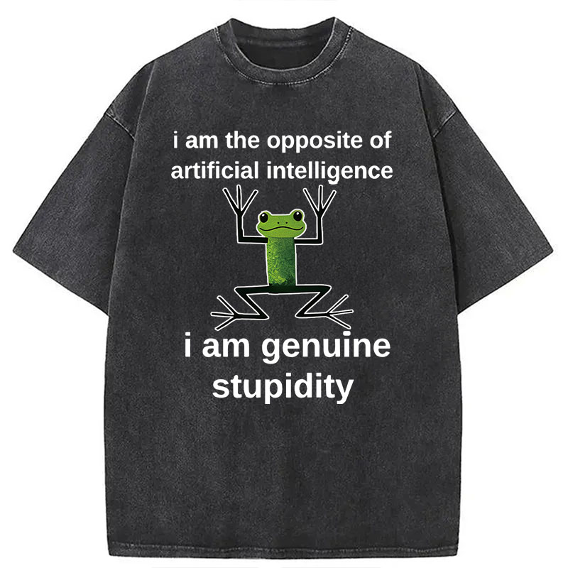 Modecanvas Genuine Stupidity Frog Meme DTG Printing Washed T-Shirt