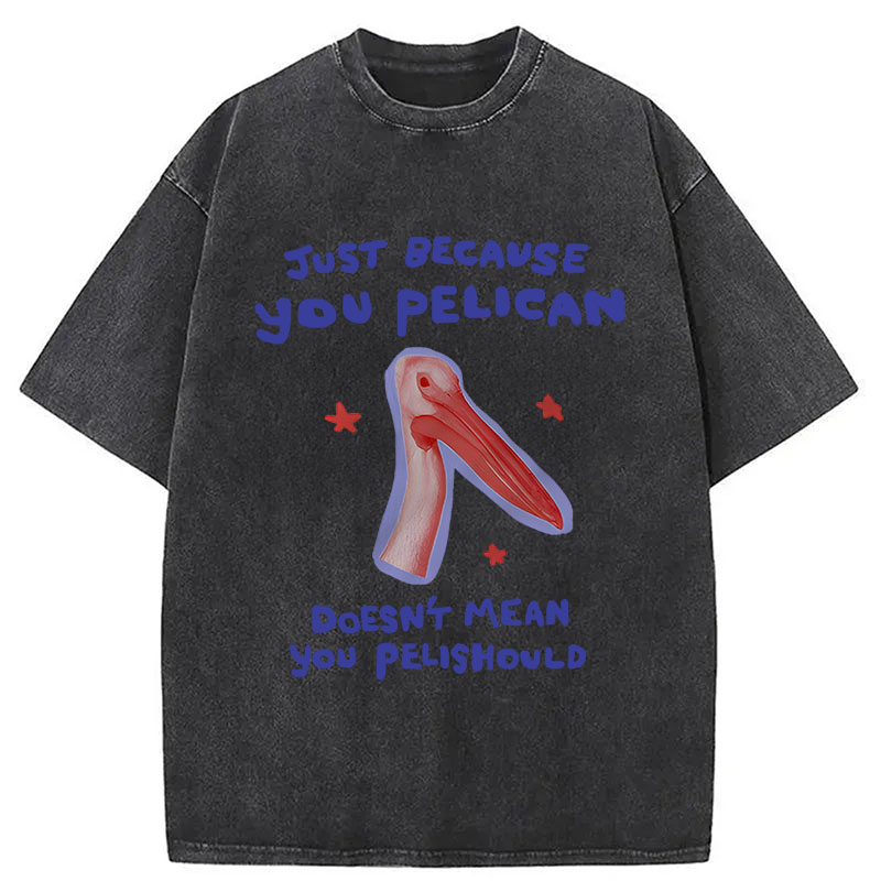 Modecanvas Just Because You Pelican DTG Printing Washed T-Shirt