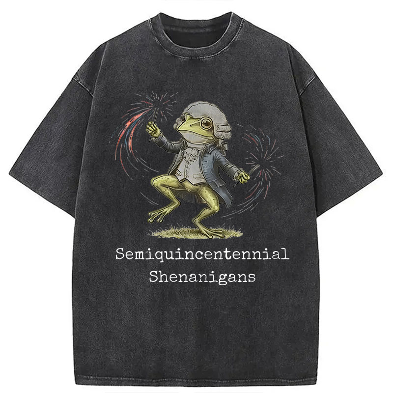 Modecanvas Funny Frog Semiquincentennial DTG Printing Washed T-Shirt