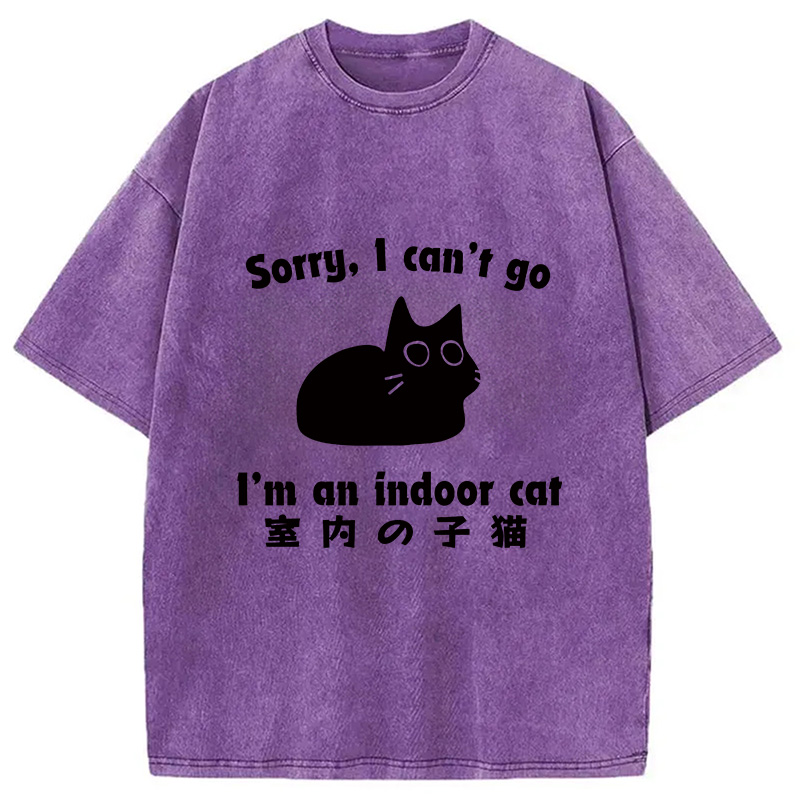 Modecanvas Indoor Kitten Washed T-Shirt-modecanvas