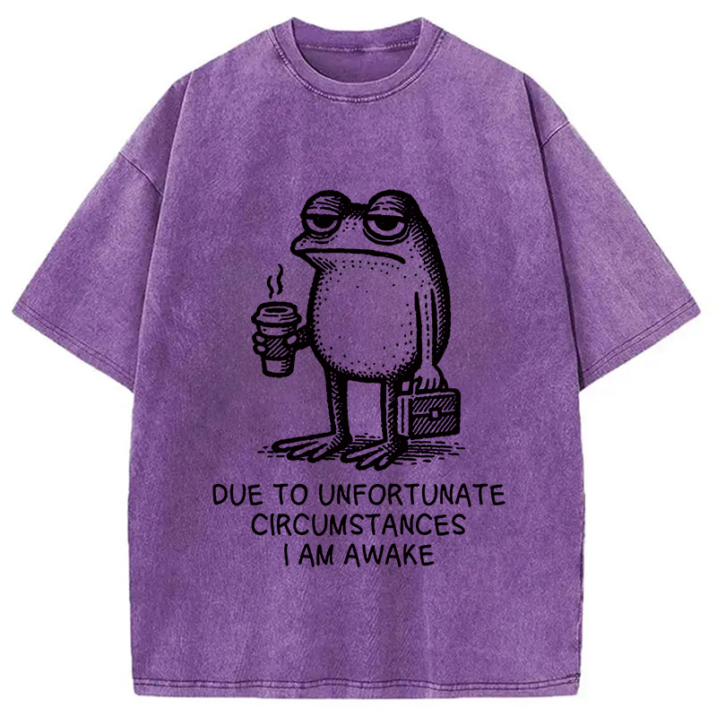 Modecanvas Decadent Frog Washed T-Shirt