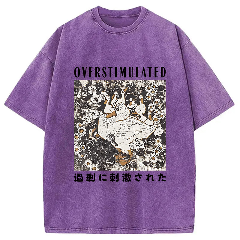 Modecanvas Overthinking Duck Washed T-Shirt