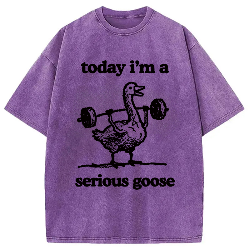 Modecanvas Fitness Goose Washed T-Shirt