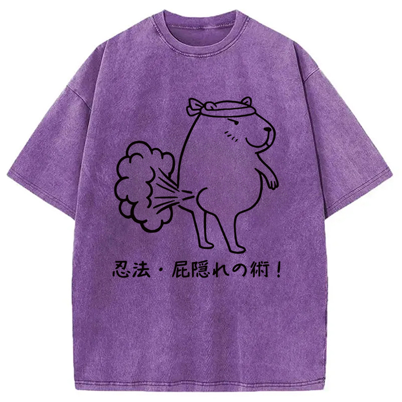 Modecanvas Funny Ninjutsu Fart Hiding Technique Washed T-Shirt