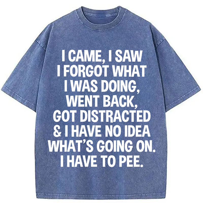 Modecanvas I Came I Saw I Forgot What I Was Doing DTG Printing Washed T-Shirt