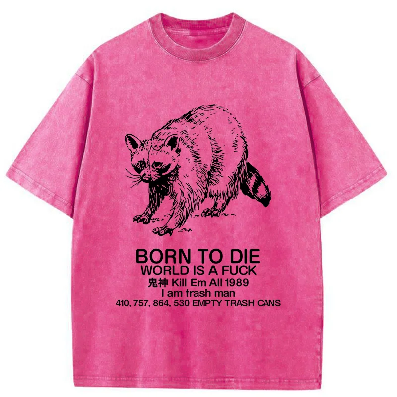 Modecanvas Born To Die World Is A Fuck Washed T-Shirt