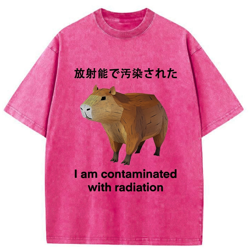 Modecanvas Capybara Contaminated By Radiation Washed T-Shirt-modecanvas