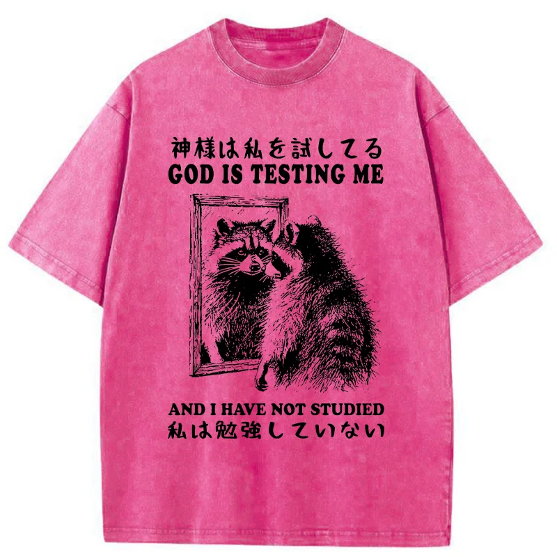 Modecanvas Raccoon Not Studied Washed T-Shirt