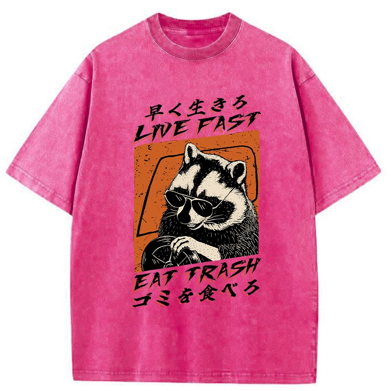 Modecanvas Raccoon Live Fast Eat Trash Washed T-Shirt