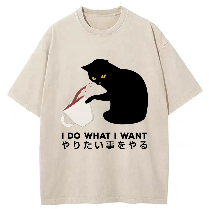 Modecanvas Tsundere Cat Funny Washed T-Shirt