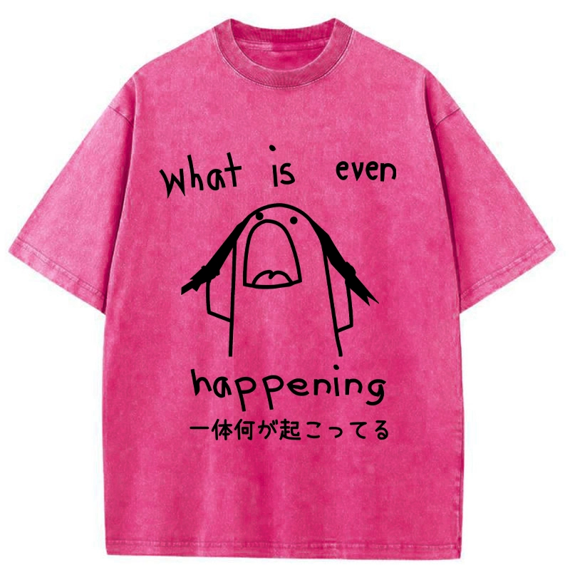 Modecanvas What Is Even Happening Washed T-Shirt-modecanvas