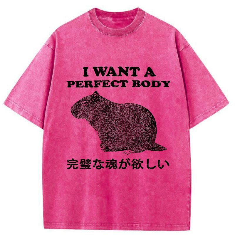 Modecanvas I Want A Perfect Body Washed T-Shirt
