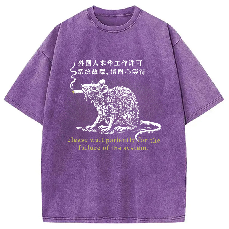 Modecanvas Travel Permit Washed T-Shirt