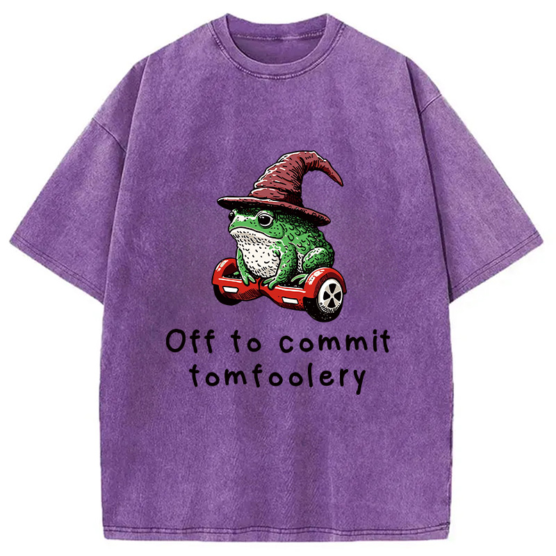 Modecanvas Japanese Frog Riding A Balance Scooter Washed T-Shirt