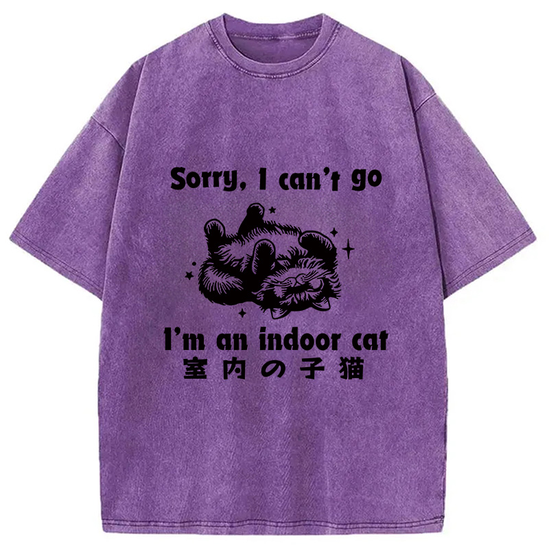 Modecanvas House Cat Washed T-Shirt