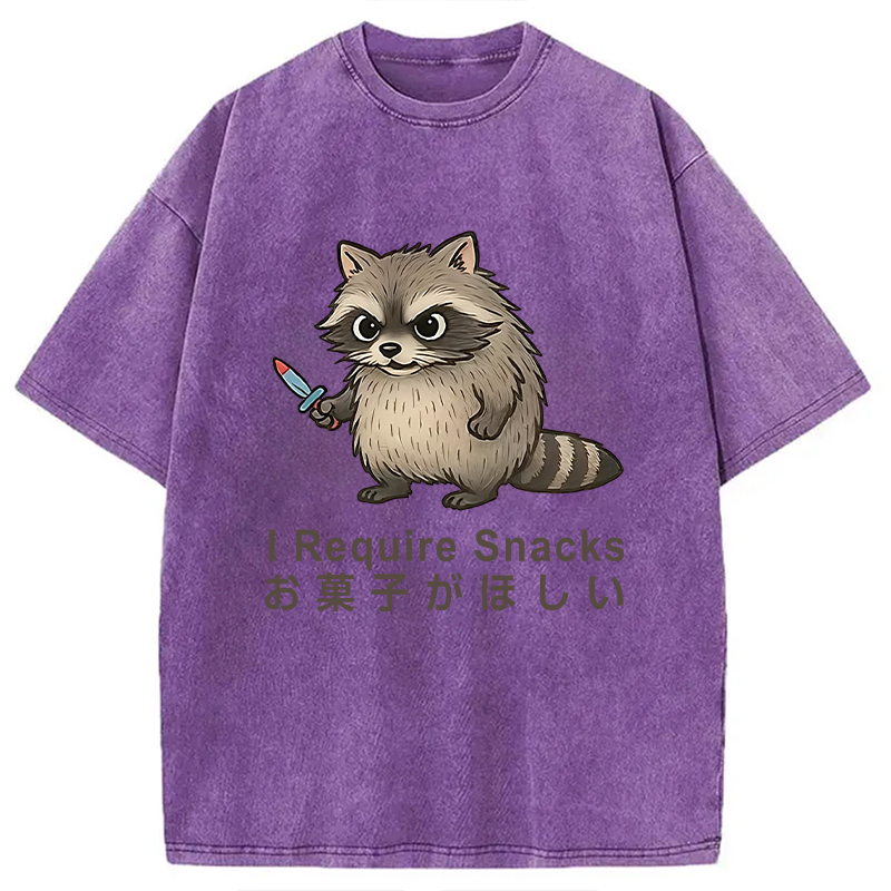 Modecanvas Raccoons Need Snacks Funny Washed T-Shirt