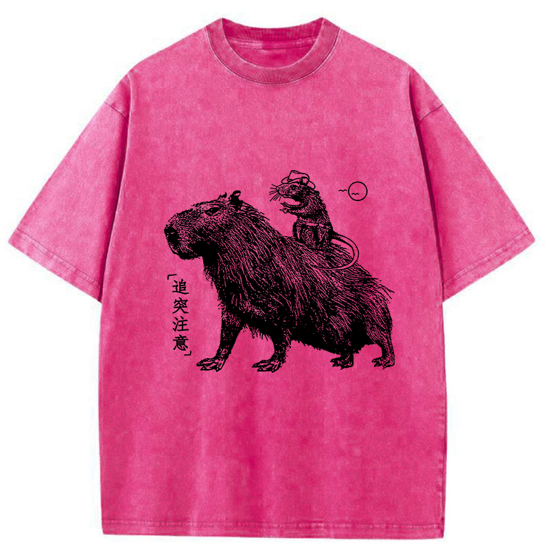 Modecanvas Mouse Riding A Capybara Washed T-Shirt