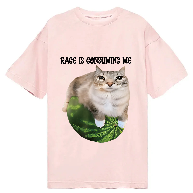 Modecanvas Rage Is Consuming Me Cat Meme DTG Printing Classic T-Shirt-modecanvas