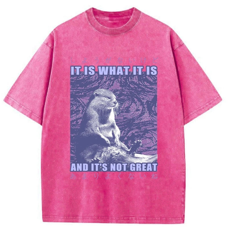 Modecanvas Frustrated Otter Japanese Washed T-Shirt