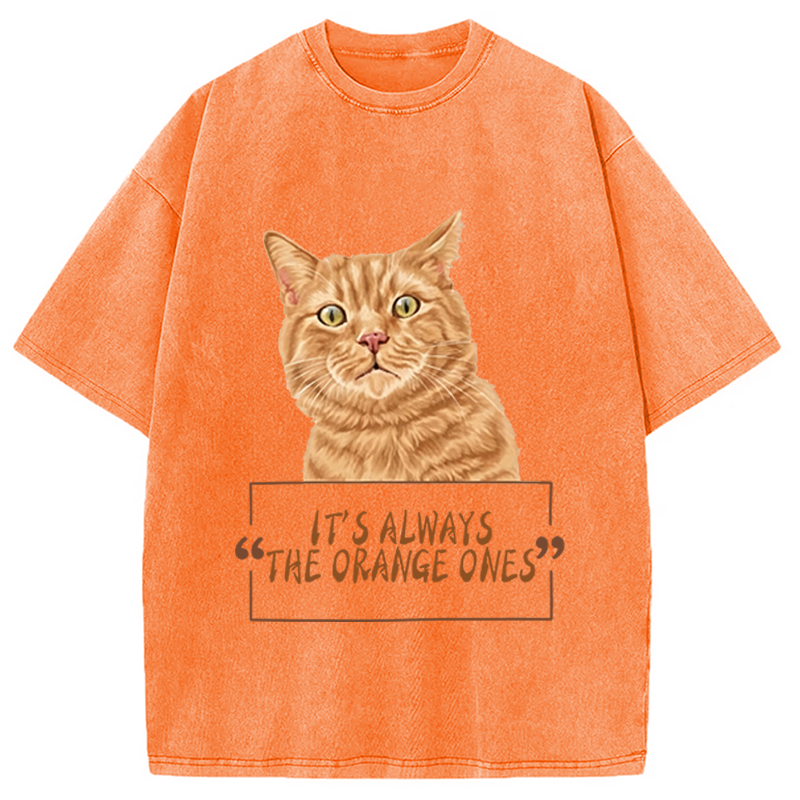 Modecanvas It Always Cat Meme DTG Printing Washed T-Shirt