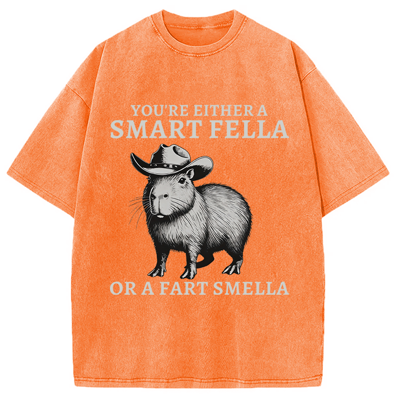 Modecanvas Retro Smart Fella Capybara 90s Washed T-Shirt