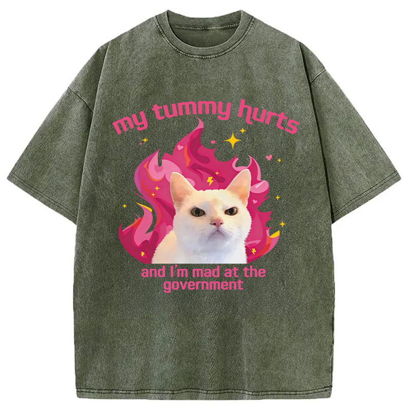 Modecanvas My Tummy Hurts Funny Cat Meme DTG Printing Washed T-Shirt