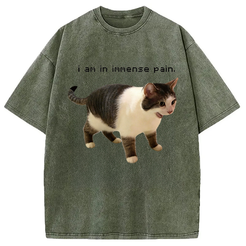 Modecanvas Screaming Cat Immense Pain DTG Printing Washed T-Shirt