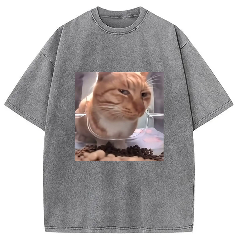 Modecanvas Funny Cat Meme Washed T-Shirt