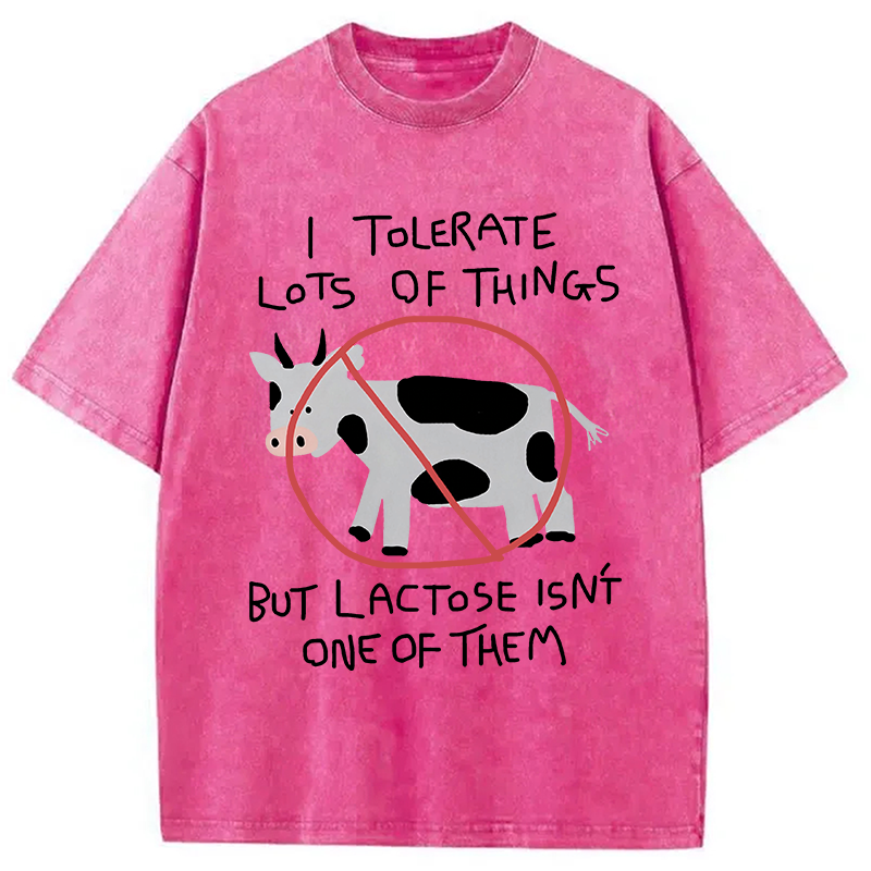 Modecanvas I Tolerate Lots Of Things DTG Printing Washed T-Shirt