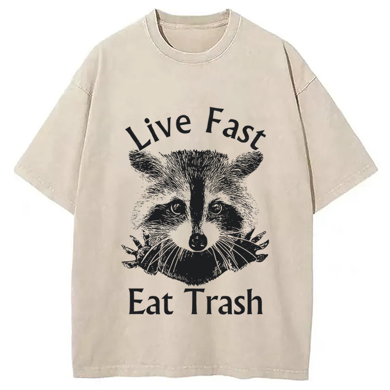 Modecanvas Trash Panda Raccoon DTG Printing Washed T-Shirt
