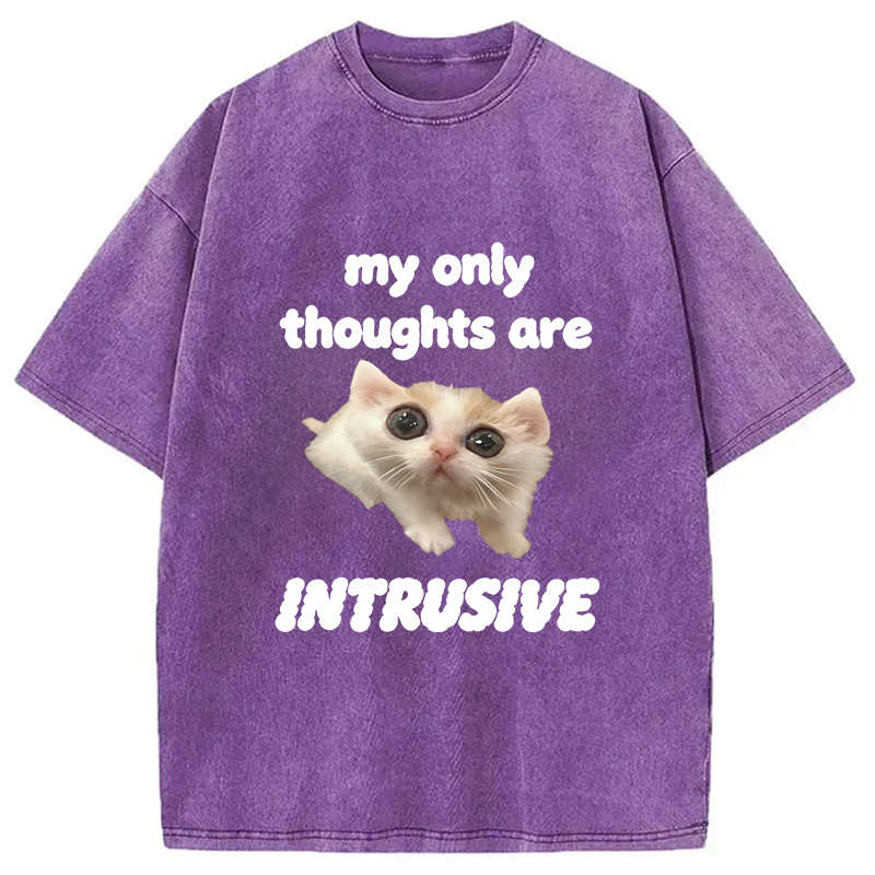 Modecanvas My Thoughts Are Only Intrusive Cat DTG Printing Washed T-Shirt