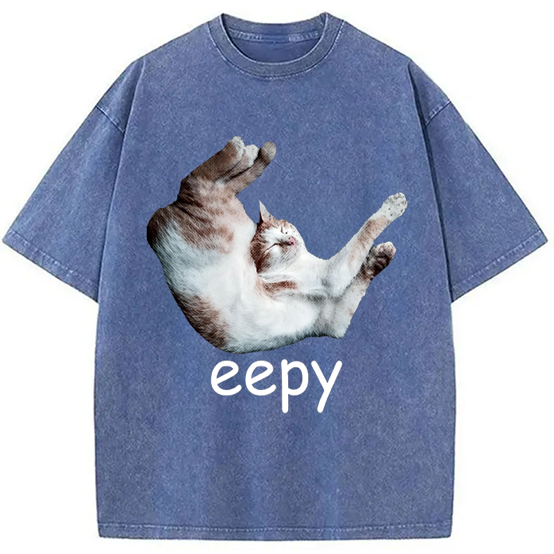 Modecanvas Silly Sleepy Cat Meme DTG Printing Washed T-Shirt