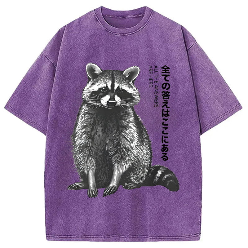 Modecanvas Funny Kawaii Raccoon Washed T-Shirt