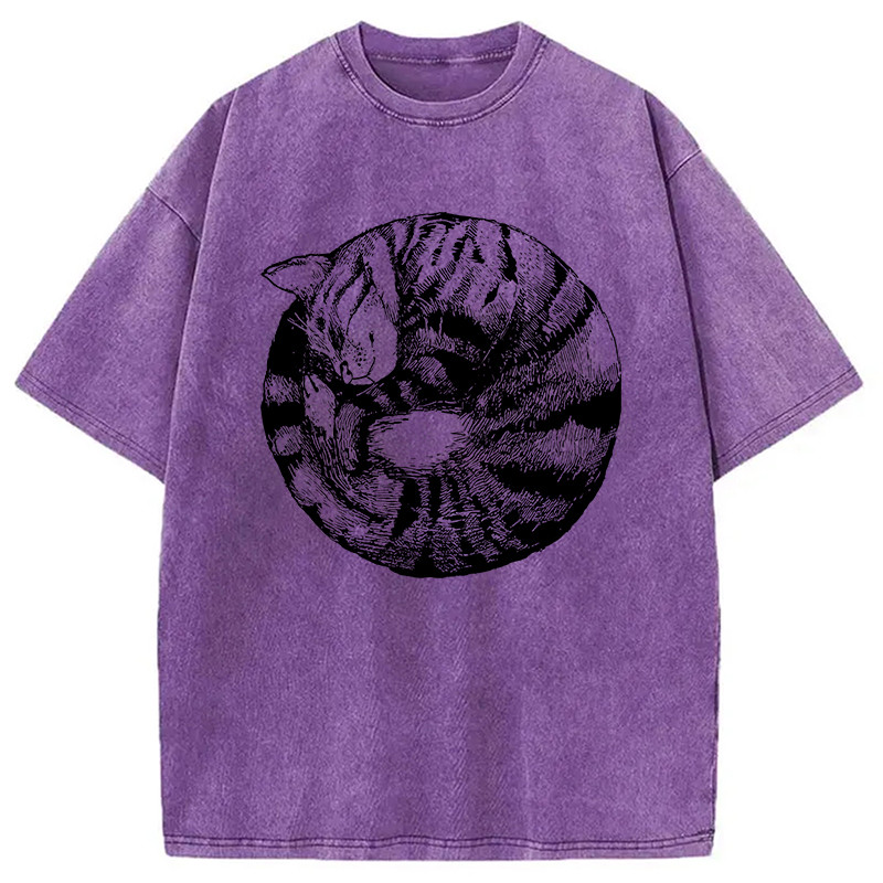 Modecanvas A Plate Of Cat Washed T-Shirt