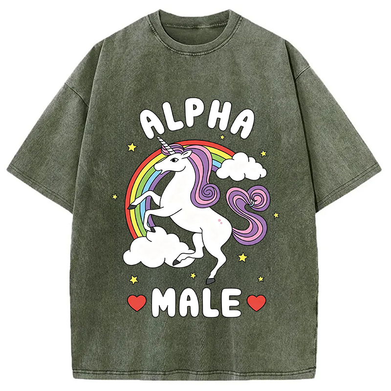 Modecanvas Alpha Male Energy Unicorn DTG Printing Washed T-Shirt